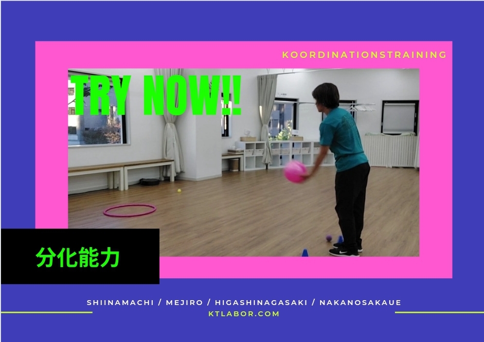 コオーディネーション